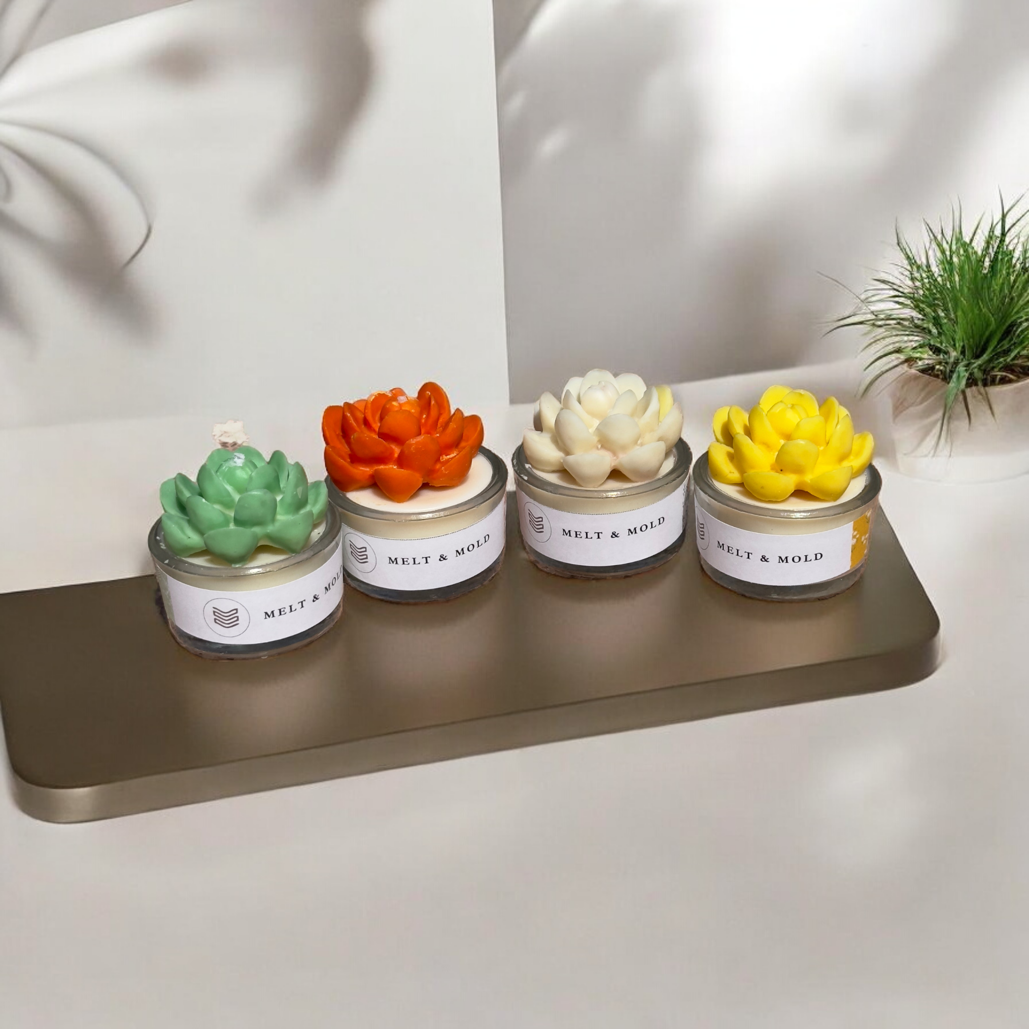 Succulent Candle