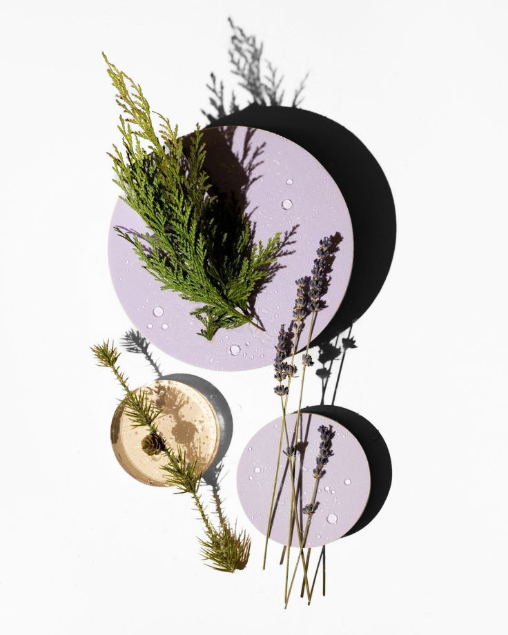 Lavender Fragrance Oil