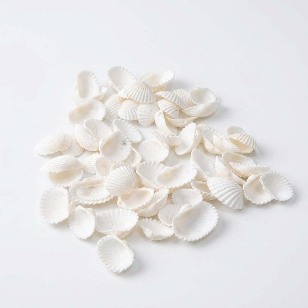 White Shells for Candle Making – 50g Packet | Melt & Mold