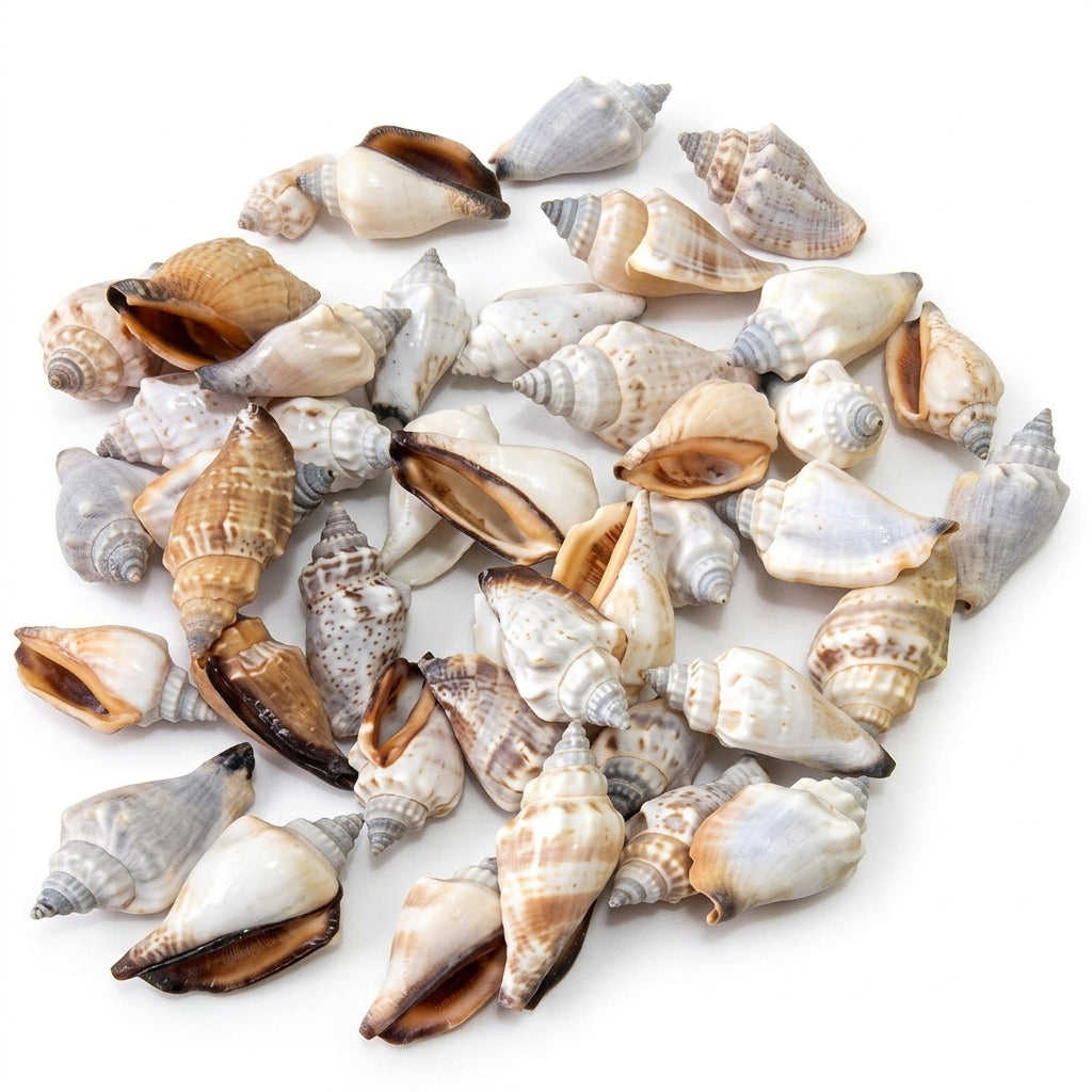 Brown Shells for Candle Making – 50g Packet | Melt & Mold